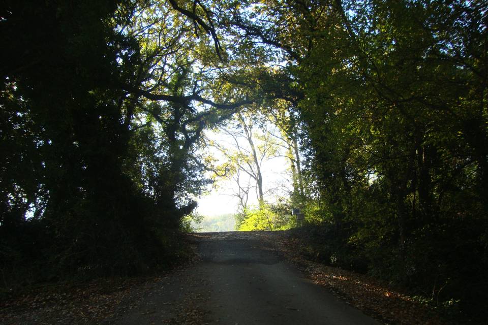 Arrivée lieux automne