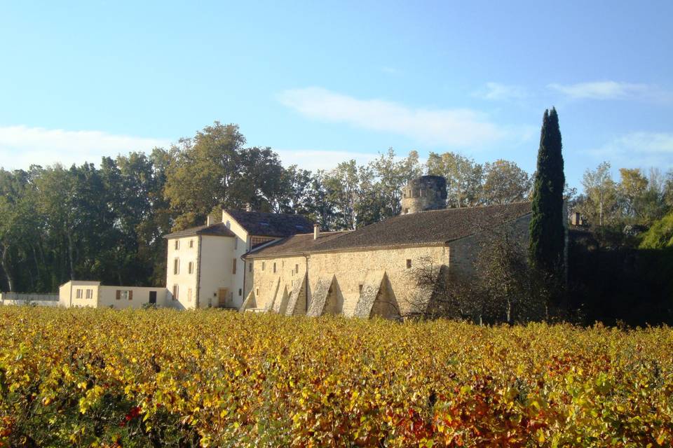 Arrivée lieux automne