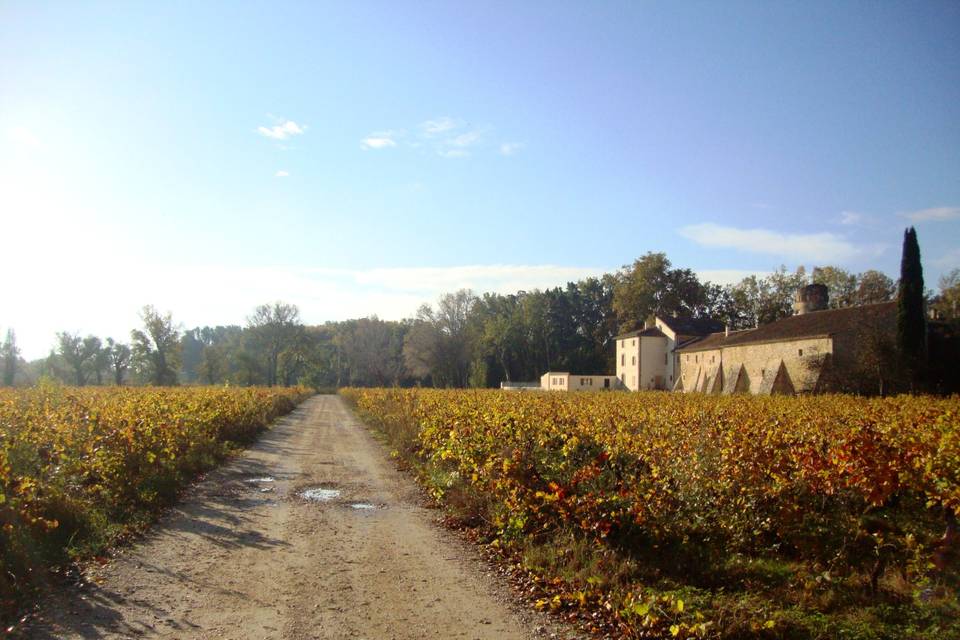 Arrivée lieux automne