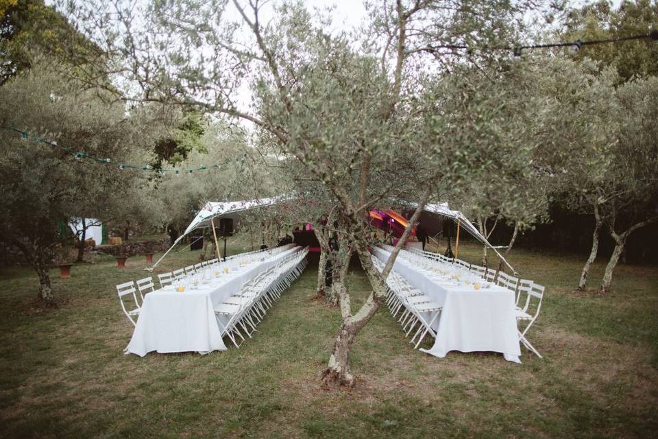 Mariage au Domaine de Rey