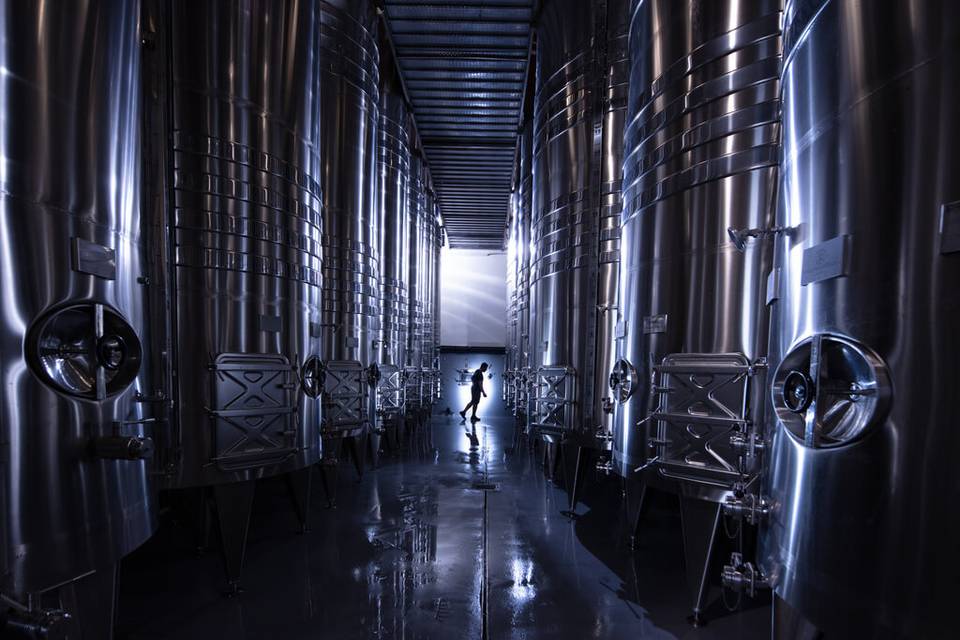 Cave vinification