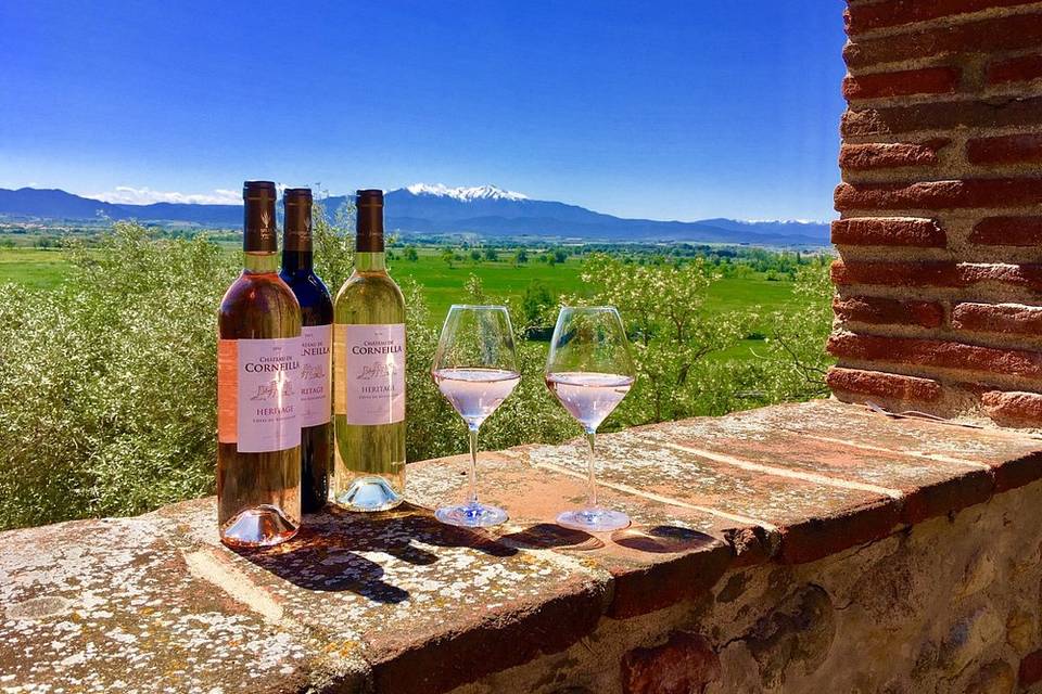 Dégustation au Château