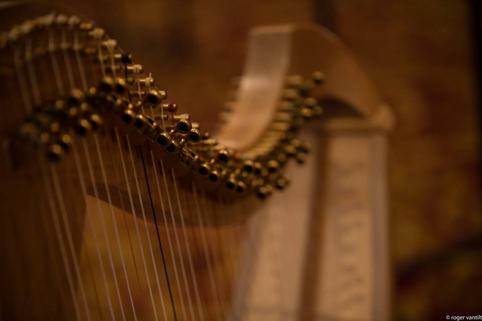 Harpe de Marin Lhopiteau
