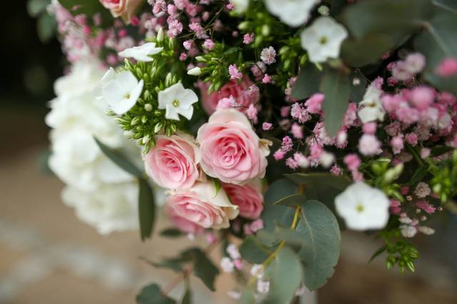 Fleurs