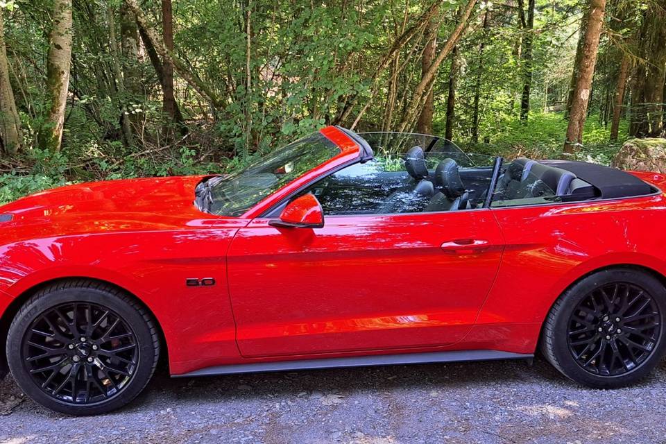 Mustang GT 5.0 V8 Cabriolet