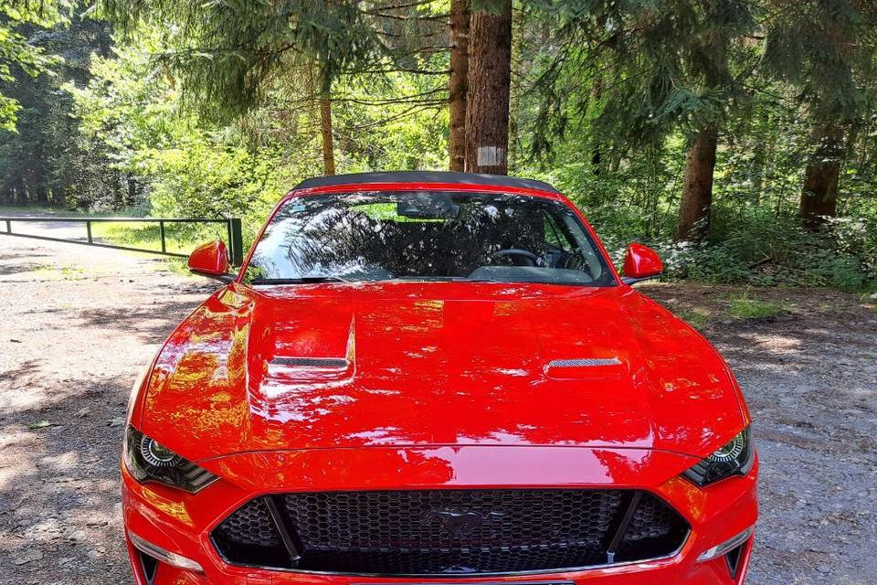 Mustang GT 5.0 V8 Cabriolet