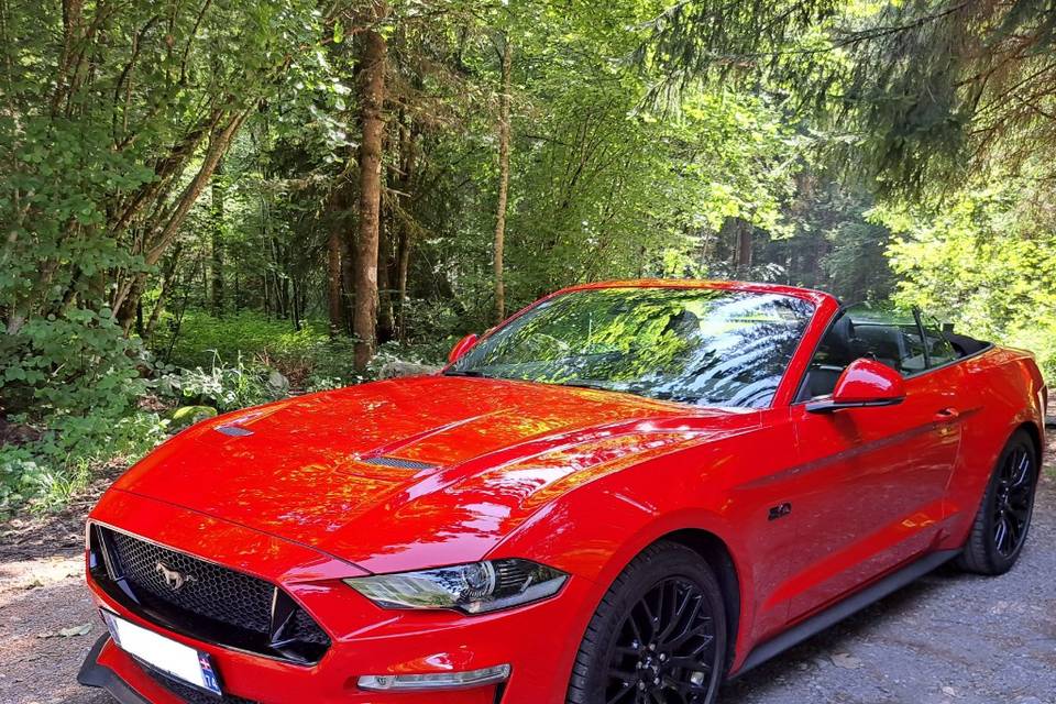 Mustang GT 5.0 V8 Cabriolet