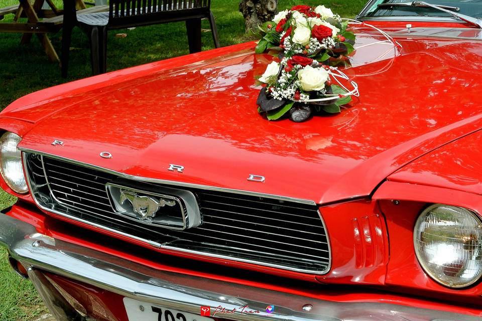 Mustang décorée