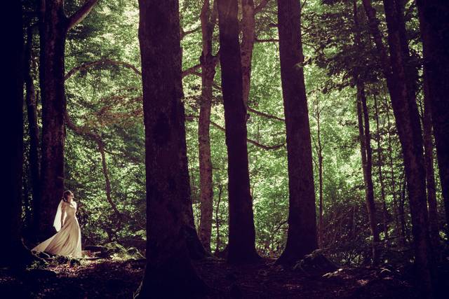 Mariage Foret