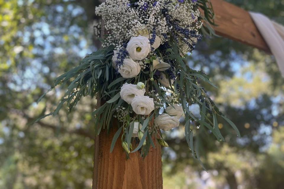 Mariage Provençal - Bicyclette