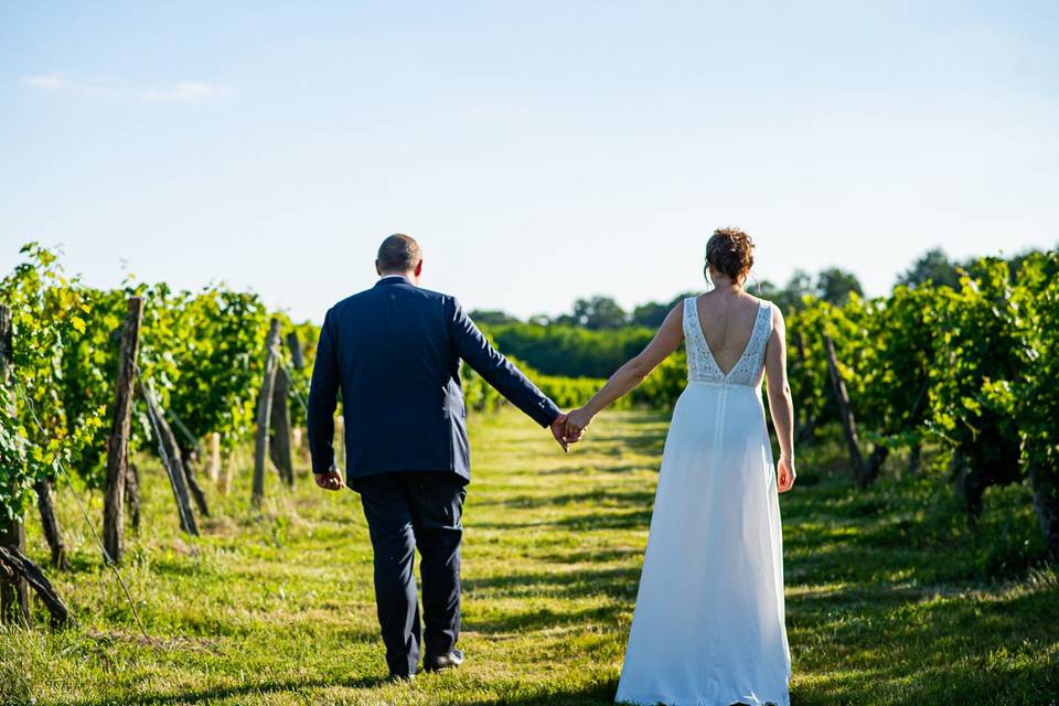 Balade dans le vignoble