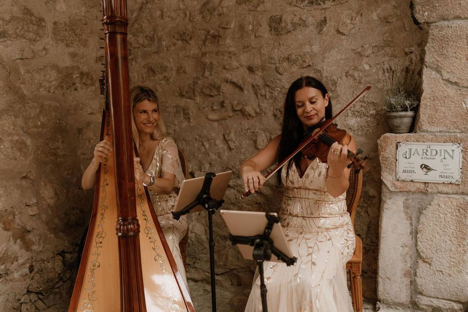 Musiciennes pour cocktail