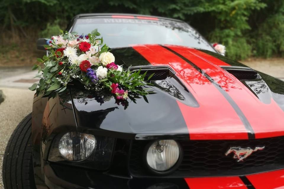 Déco voiture
