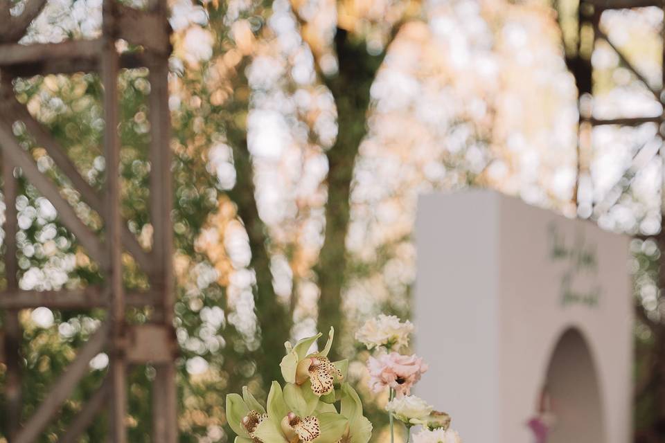 M & J - Villa Biloba, Dordogne