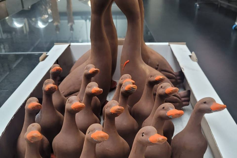 Duck chocolat