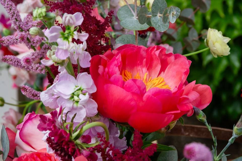 composition_florale_pivoines_rouges