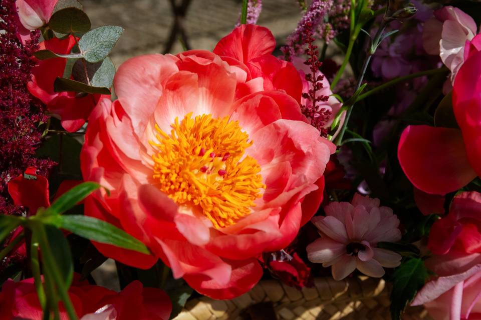 fleur_peony_rouge_centre