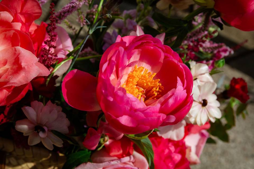 fleur_pivot_rose_bouquet_mariage