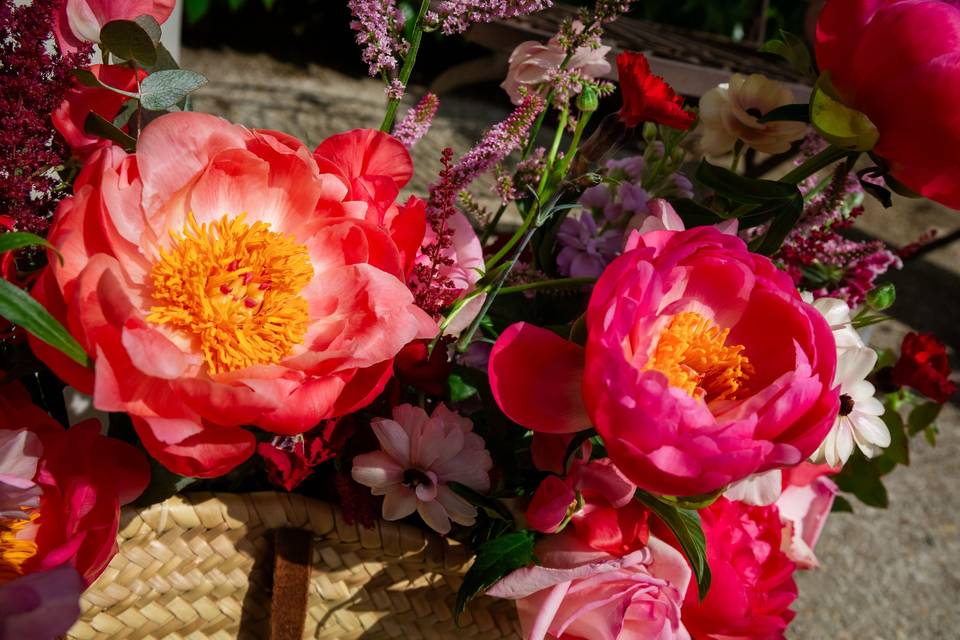 fleurs_ronde_couleurs_vives