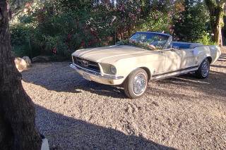 Mariages en Mustang