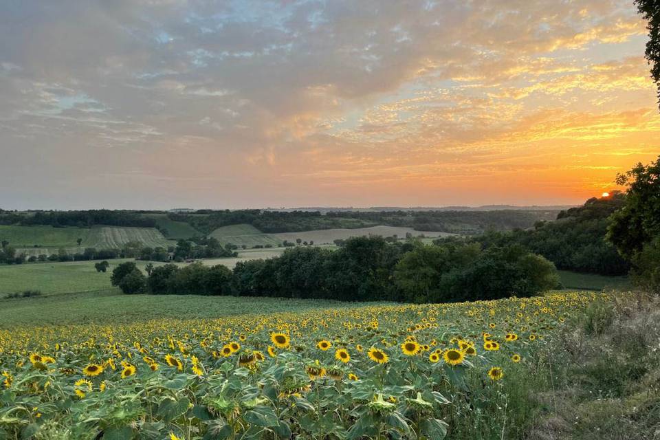 La plaine lauragaise