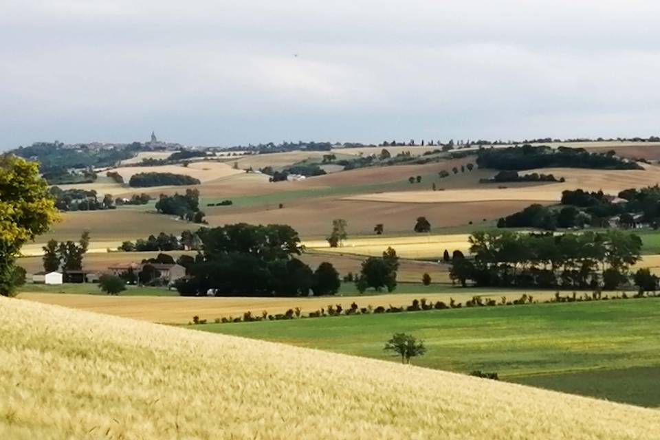 La campagne lauragaise