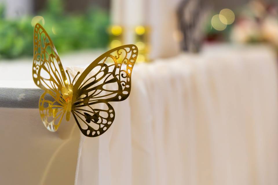 Butterfly
