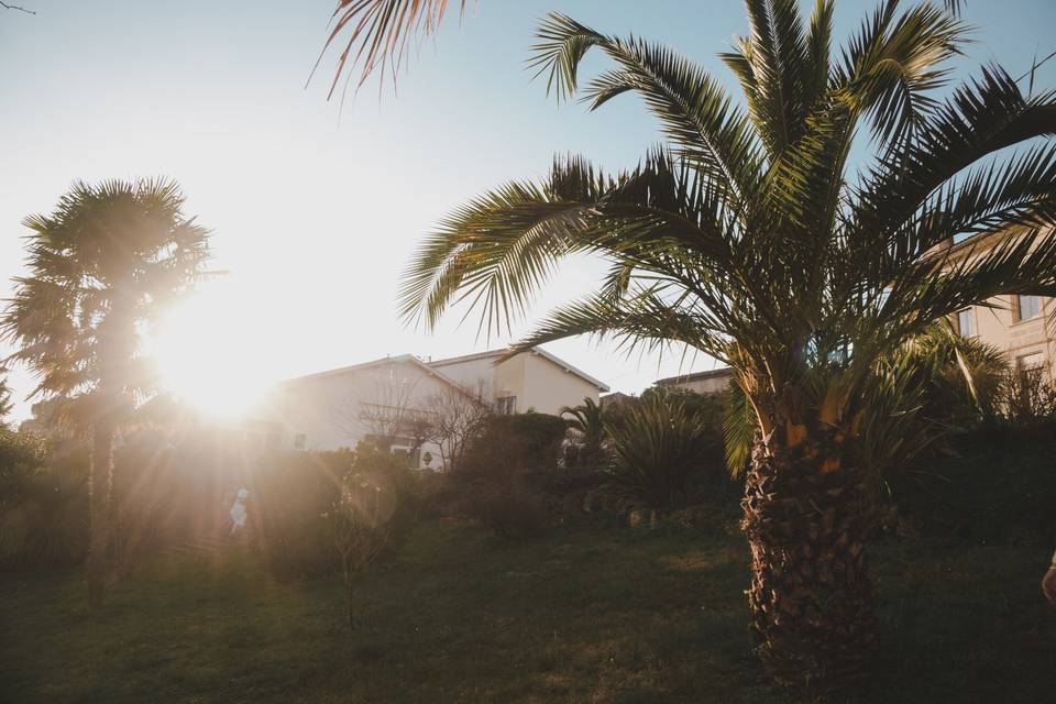 Soleil couchant dans le parc