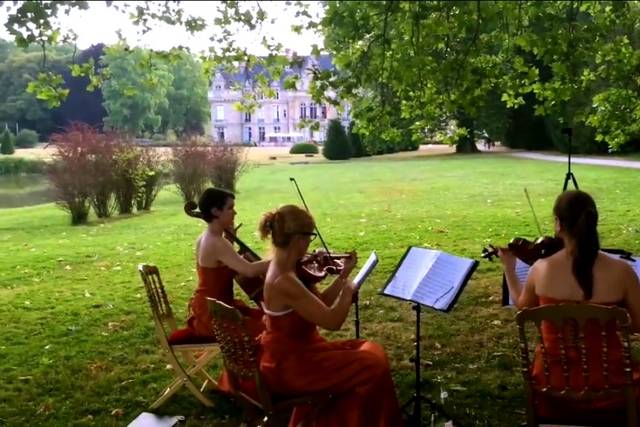 Ivana String Quartet