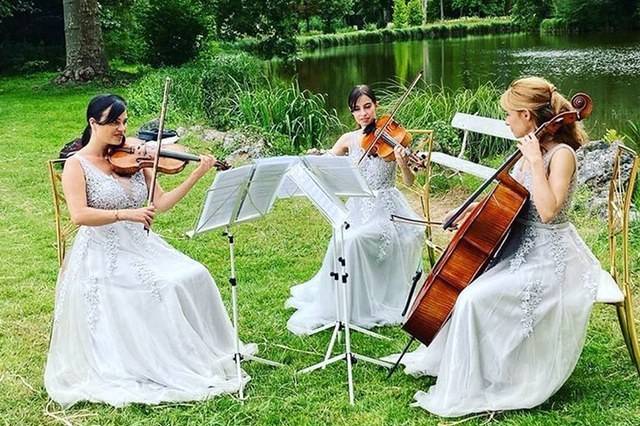 Ivana String Trio