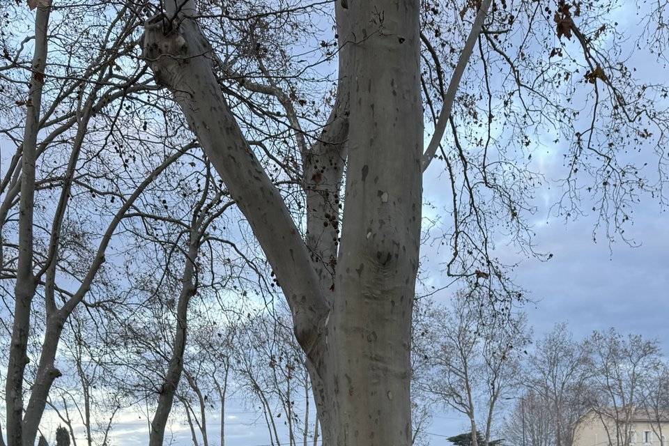 L’amour à ciel ouvert.