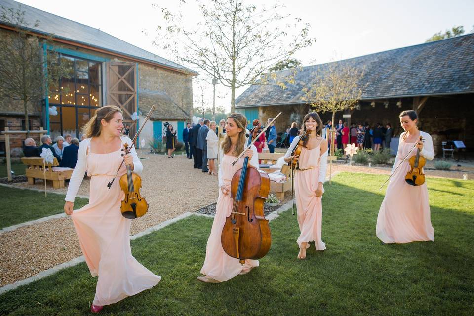 Ivana String Quartet