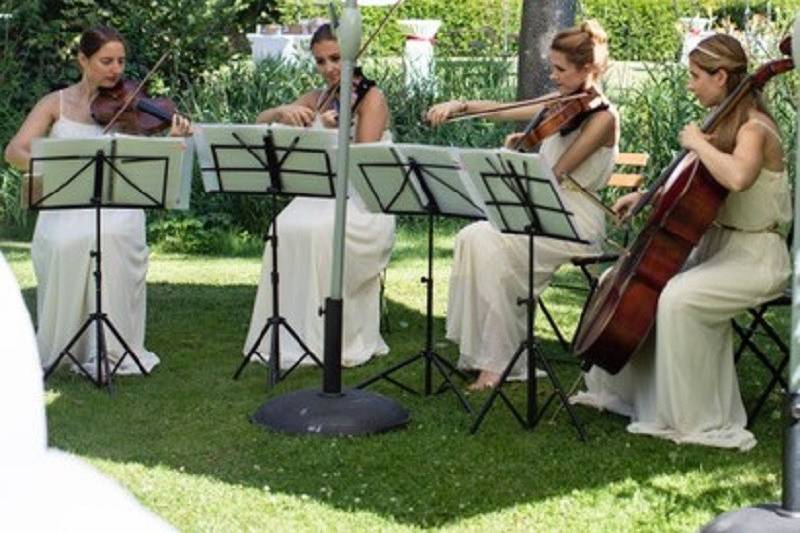 Ivana String Trio Chantilly