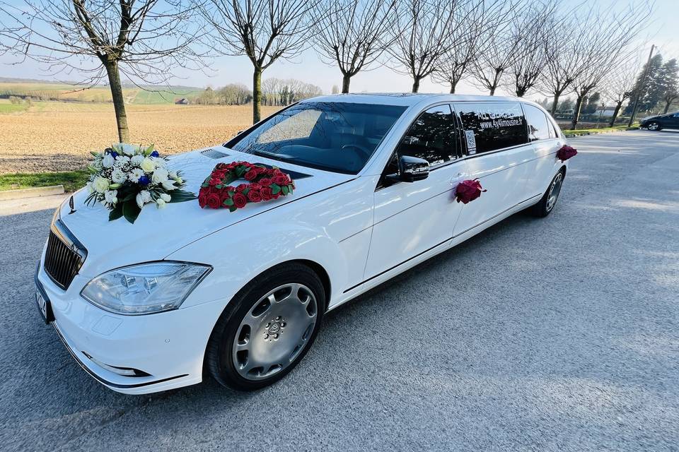 MERCEDES MAYBACH