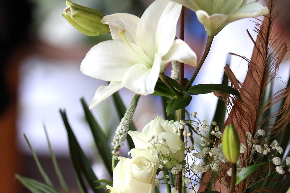 Bouquet de la vierge