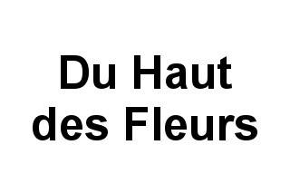 Du Haut des Fleurs logo