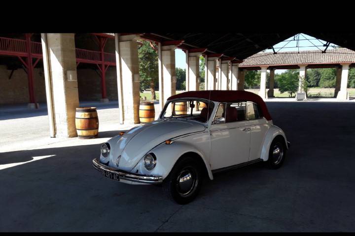 Coccinelle