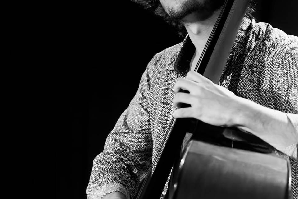 Contrebassiste House of Jazz