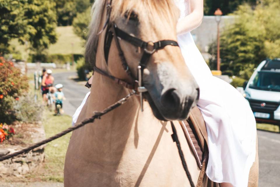 Sur son cheval