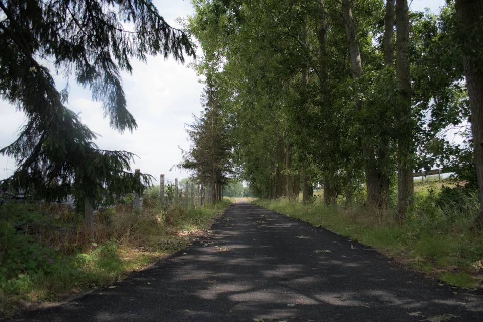 La Ferme des Dames