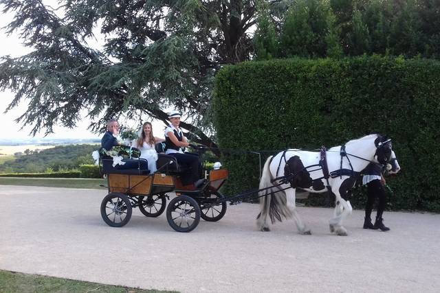 Arrivée en calèche