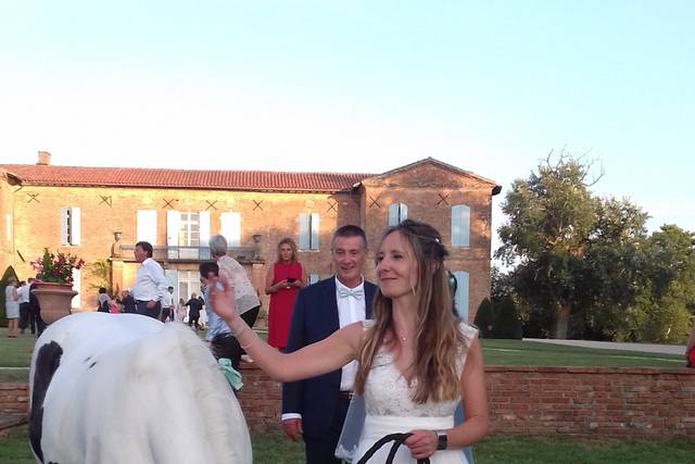 Photo avec le cheval