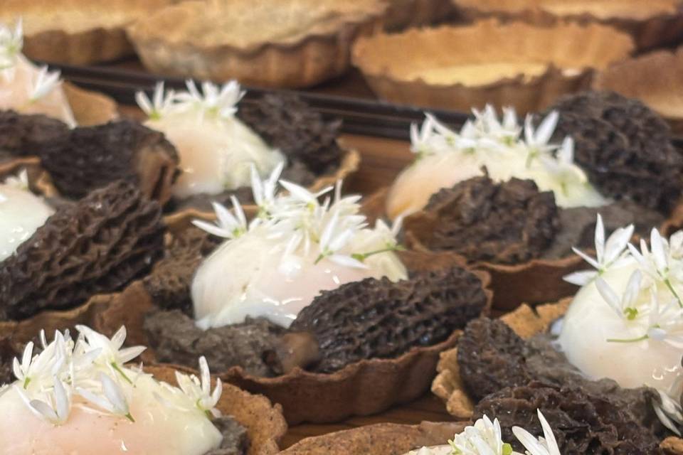 Tartelette morille