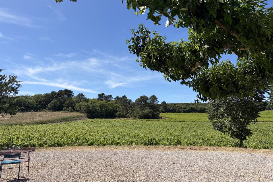 Terres de saint Hilaire