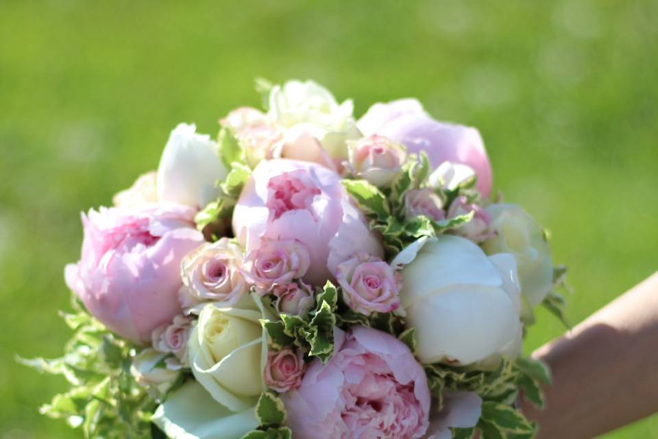 Bouquet de pivoines