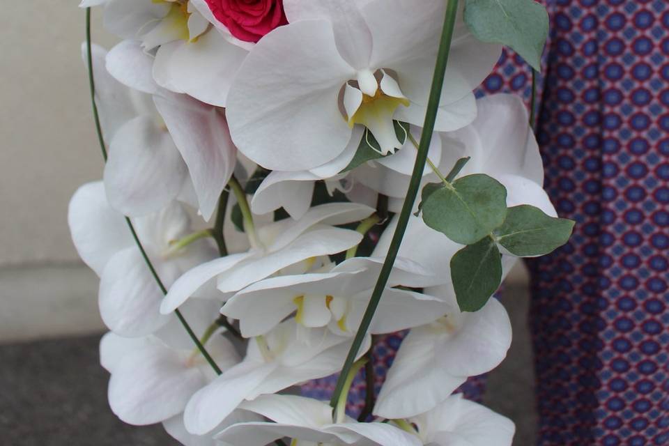 Bouquet avec succulentes