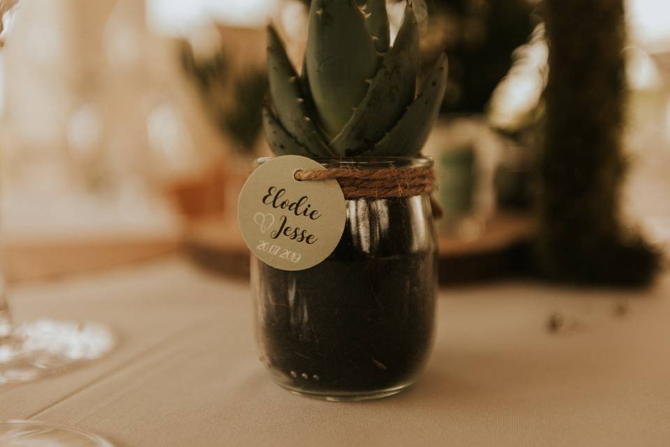 Mariage E&J - Succulente