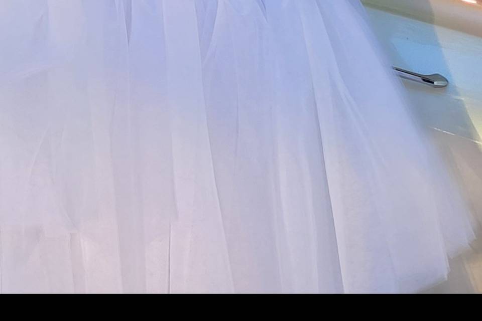 Wedding 2026