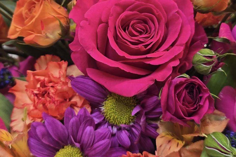 Orange et fuschia