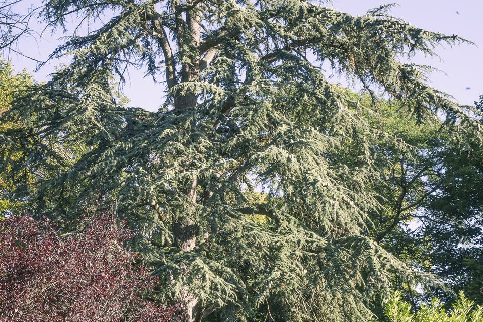 Parc de 1 ha